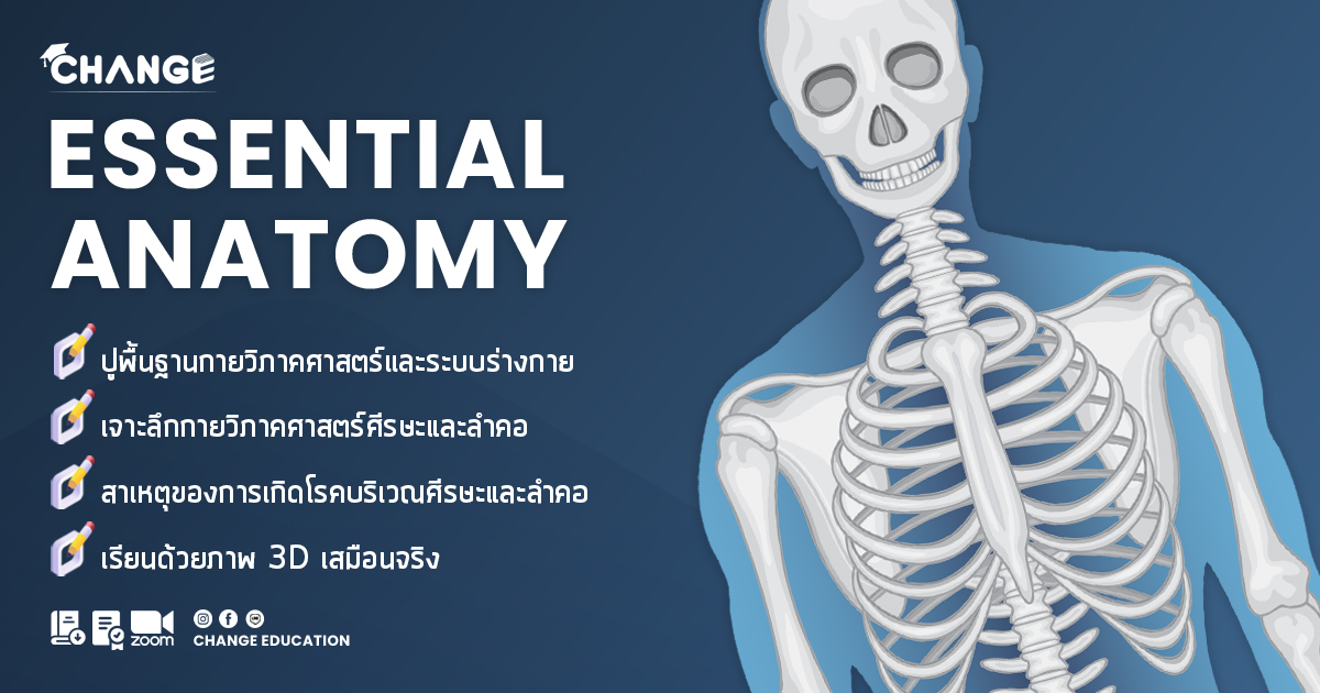 Essential Anatomy พื้นฐานที่จำเป็นสำหรับกายวิภาคศาสตร์ ครั้งที่ 5 ประจำปี 2567