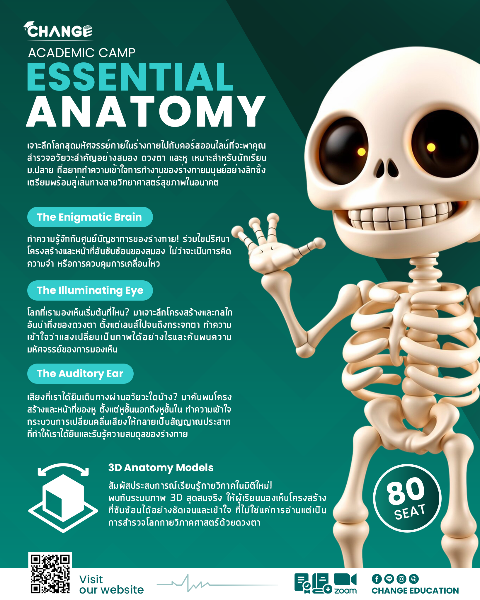 Anatomy, กายวิภาคศาสตร์, Anatomy Course